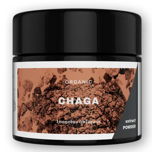 keepe-griby-chaga-ekstrakt-chagi-poroshok-30-g