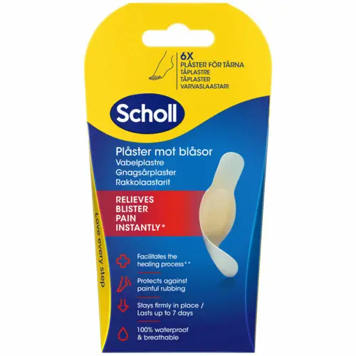 plastyr-scholl-bladder-6-sht-lot
