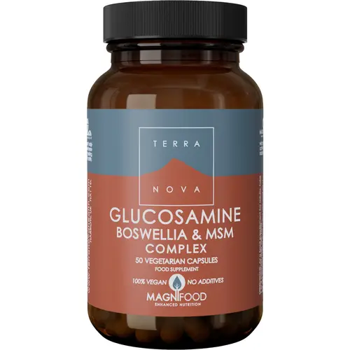 Глюкозамин Терранова 50 шт. Комплекс Босвеллия и МСМ