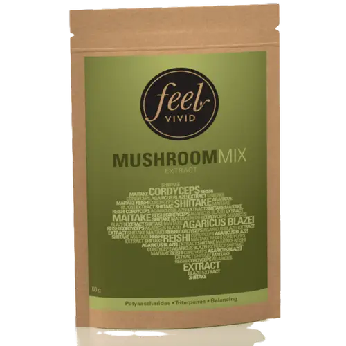 Порошок экстракта грибной смеси Feel Vivid 60 г