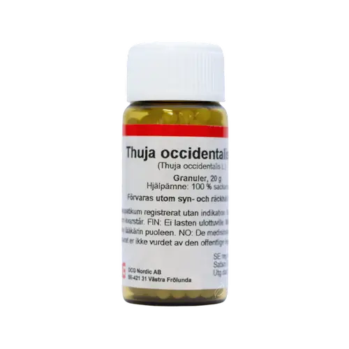 Туя западная D30 H276FIN