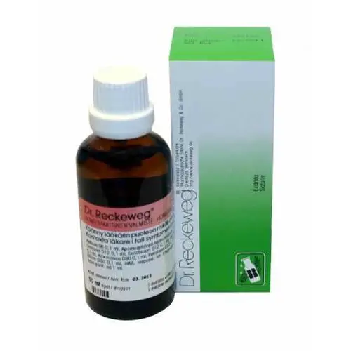 Капли Dr. Reckeweg R13 H331FI 50 мл
